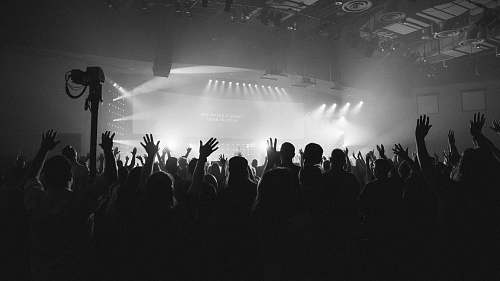 human grayscale photography of crowd at concert crowd