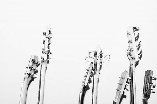 music grayscale photography of guitar heads guitar