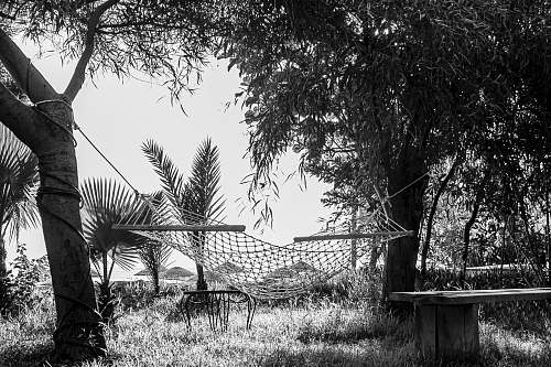 furniture grayscale photography of hammock plant