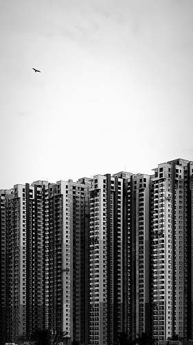 building grayscale photography of high-rise building high rise