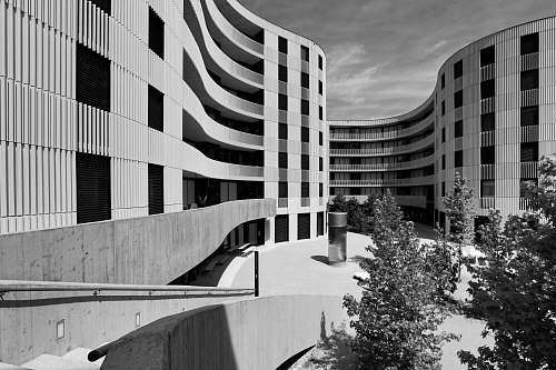 tree grayscale photography of high-rise buildings plant