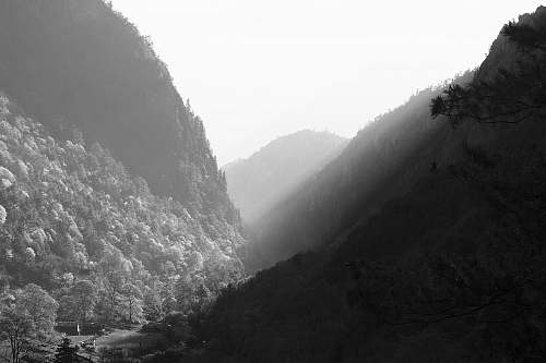 mountains grayscale photography of mountain covered with trees mountain