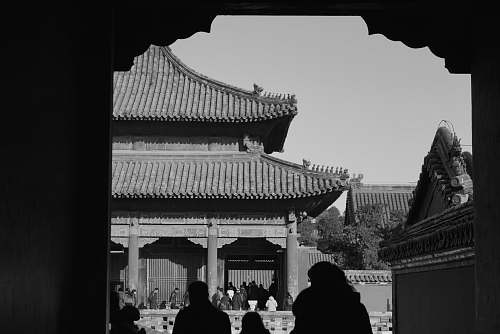 architecture grayscale photography of pagoda building building