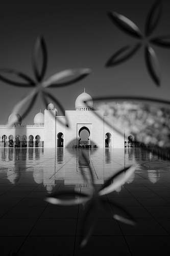 grey grayscale photography of Taj Mahal masjid omer rashid al maqbali