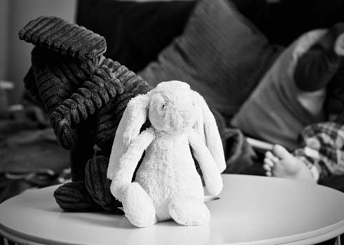 toys grayscale photography of two rabbit plush toys on top of coffee table stuffed animal