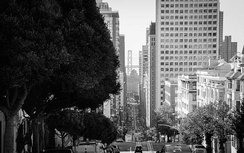 city grayscale photography of vehicle traveling on road during daytime downtown