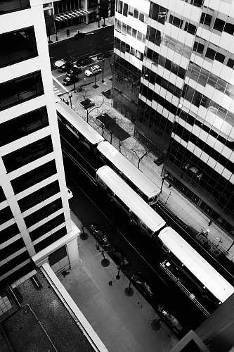urban grayscale photography of vehicles on road near buildings collage
