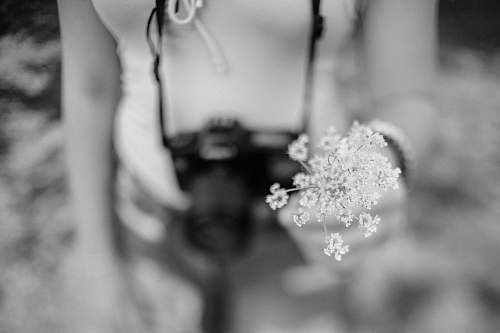 blossom grayscale photography of woman holding wild carrot flower flower
