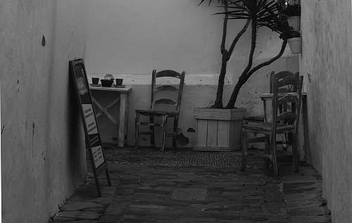 chair grayscale photography of wooden ladderback chairs and potted plant furniture