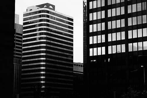building grayscale photogrphy of buildings office building