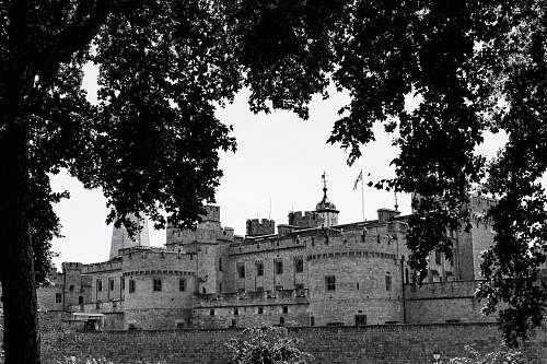 building greyscale photo of castle castle
