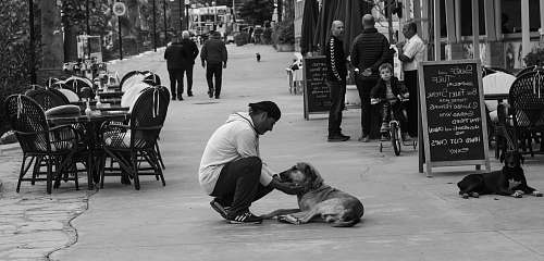 chair greyscale photography of man sitting beside dog furniture
