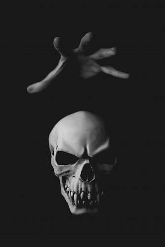 accessories human skull accessory