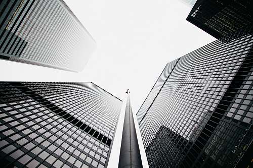 building low angle photography of gray concrete building office building