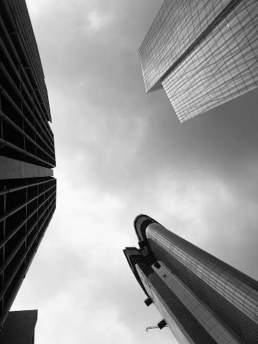 building low-angle photography of three high-rise buildings office building