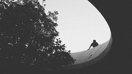 person man on concrete bridge beside trees human