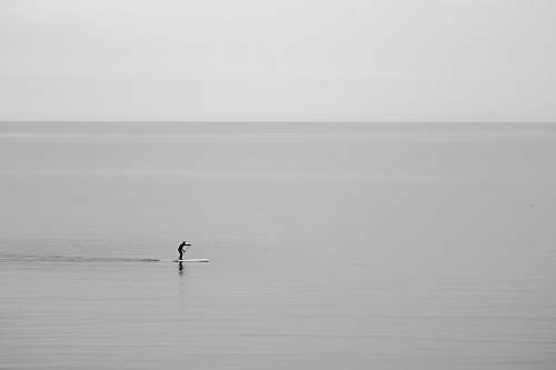 grey man on ocean animal