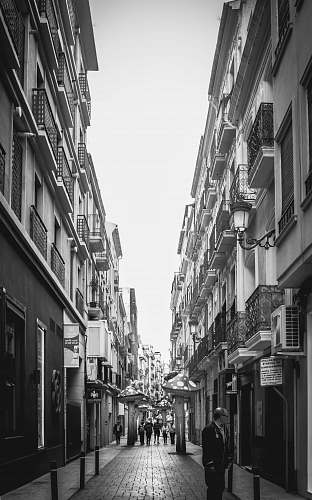 path people walking on street human