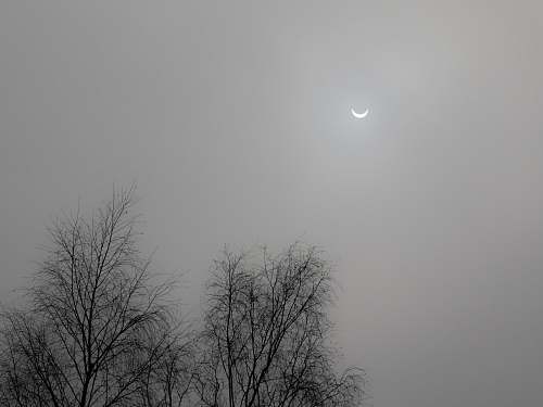 nature quarter moon grey