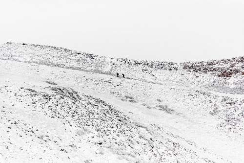 grey two person walking on the valley snow