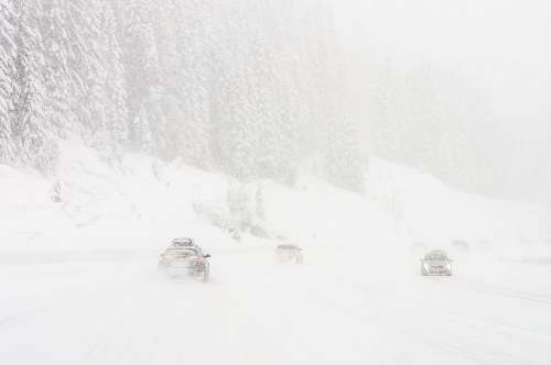 nature vehicle on roadway near trees covered by snow car