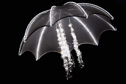 dragon white and black umbrella brussels