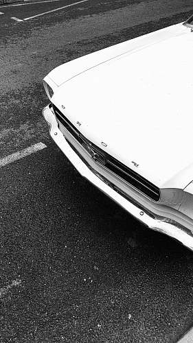 bumper white car transportation