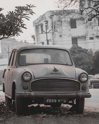 grey white car vehicle