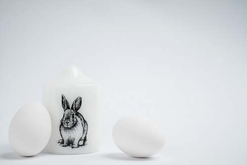 grey white cup with rabbit print bunny
