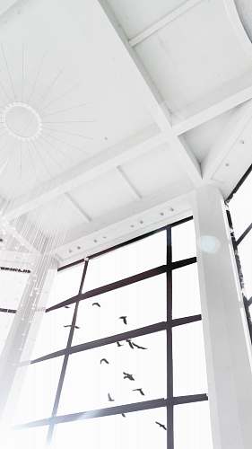 building white wooden framed glass window architecture