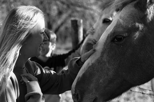 human woman holding horse during daytime horse