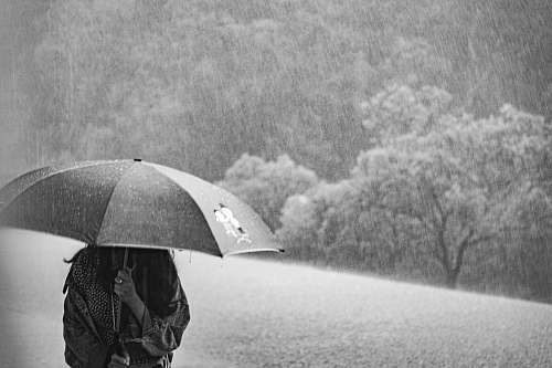 grey woman under umbrella during rain umbrella