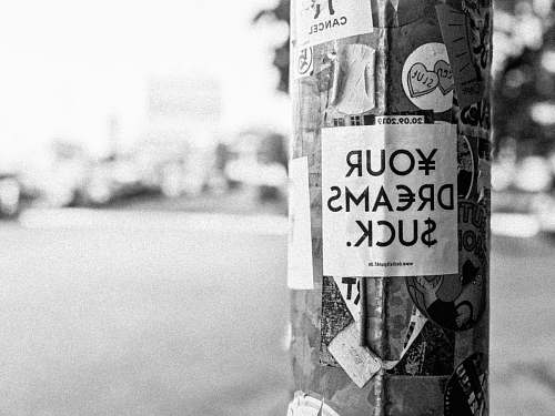 label wrapped tree in monochrome photo text