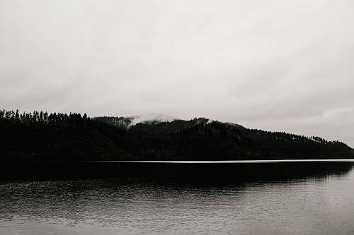 water body of water near trees tree