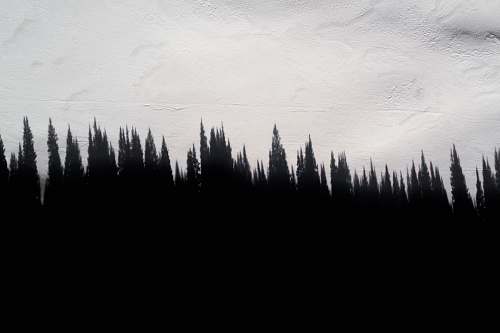 texture silhouette of trees snow