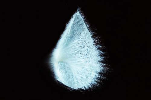 white tear-drop shaped white powder blue