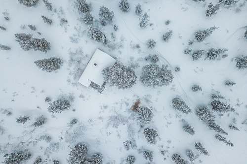 norway high-angle photography of house and trees with snowfield cabin
