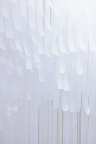 paper  white