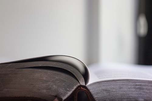 bible selective focus photo of an opened book grey