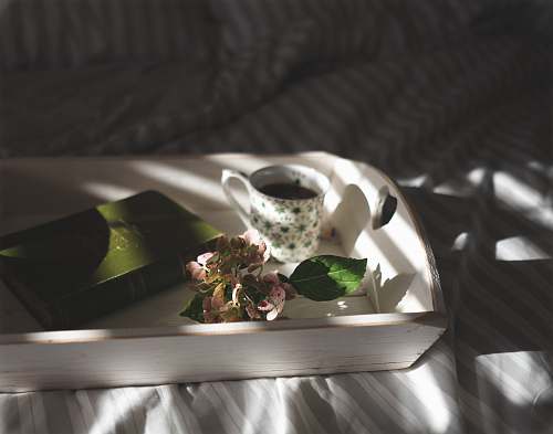 coffee teacup beside pink flowers on tray tea