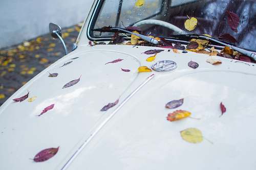romania white car car