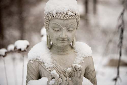 bust Buddha statue statue