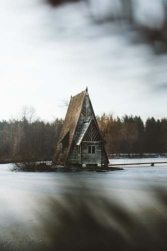nature gray and brown wooden house surrounded by tall trees outdoors