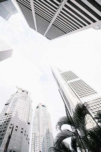city white concrete building low-angle photography high rise