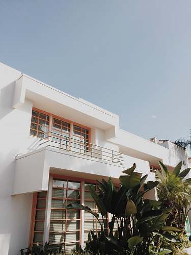 plant white concrete house near green leafed plants flora