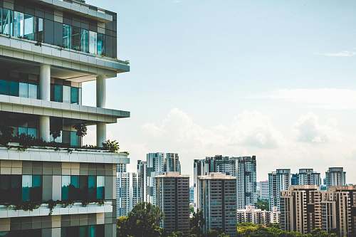 urban white high-rise building at daytime housing