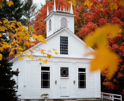 house white painted building near red leaved trees cottage
