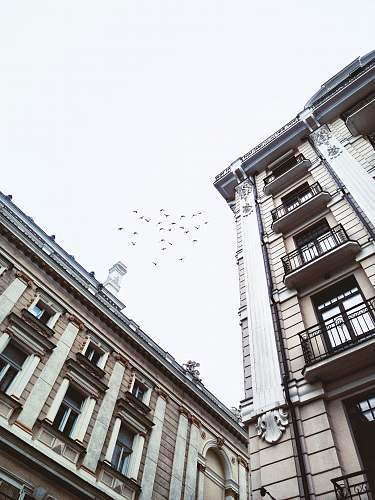 ukraine worm's eye view of brown concrete building brick