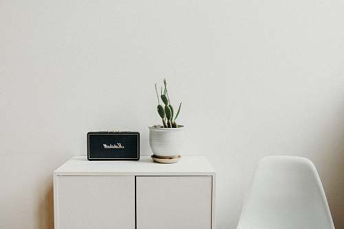 plant black Marshal speaker on white table flora