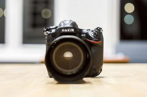 electronics selective focus photography of black Nikon DSLR camera the hague